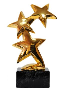 Гран-при Российской пиротехнической ассоциации «Золотое созвездие»в номинации «За вклад в развитие российской пиротехники»  2014 год
